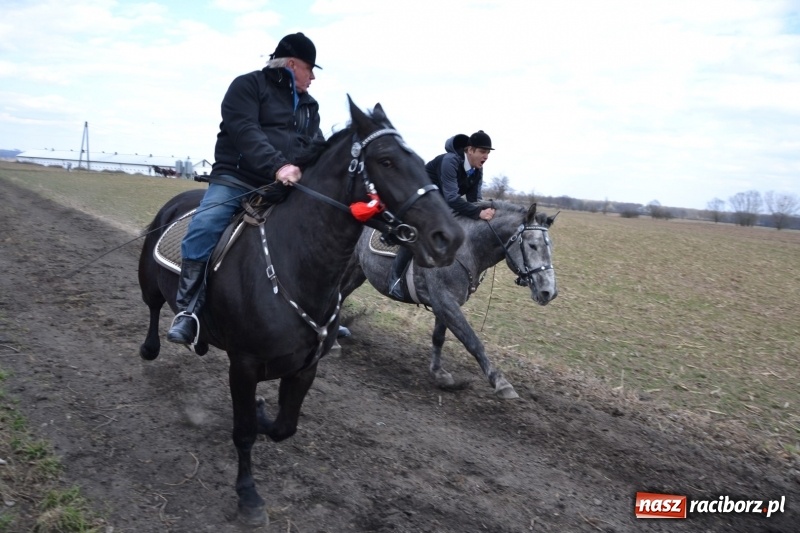 Zdjęcie w galerii na portalu naszraciborz.pl: Bieńkowickie rajtowanie - jeźdźcy mocno chwycili za lejce FOTO i WIDEO wiadomości z regionu