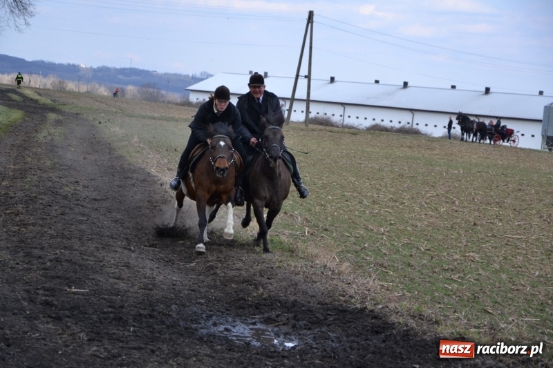 Zdjęcie w galerii na portalu naszraciborz.pl: Bieńkowickie rajtowanie - jeźdźcy mocno chwycili za lejce FOTO i WIDEO wiadomości z regionu
