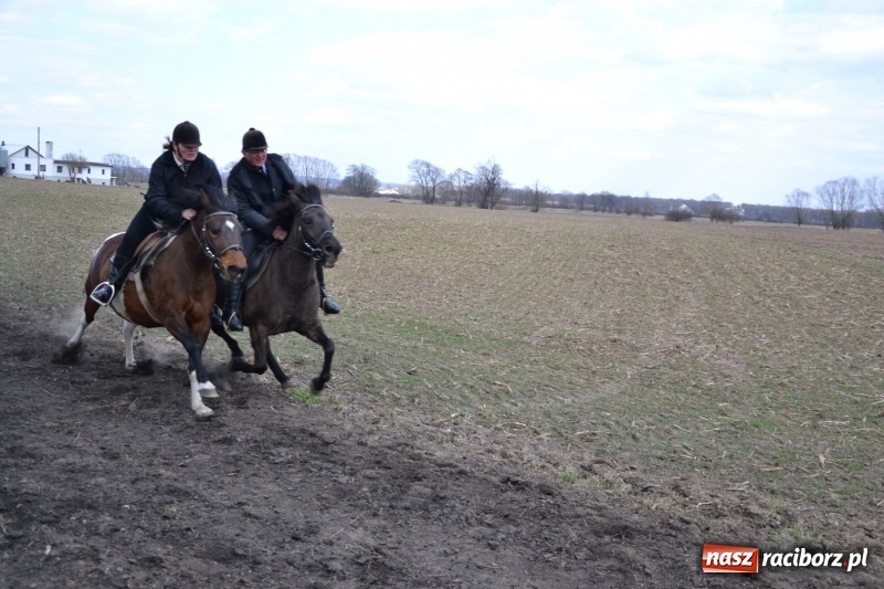 Zdjęcie w galerii na portalu naszraciborz.pl: Bieńkowickie rajtowanie - jeźdźcy mocno chwycili za lejce FOTO i WIDEO wiadomości z regionu