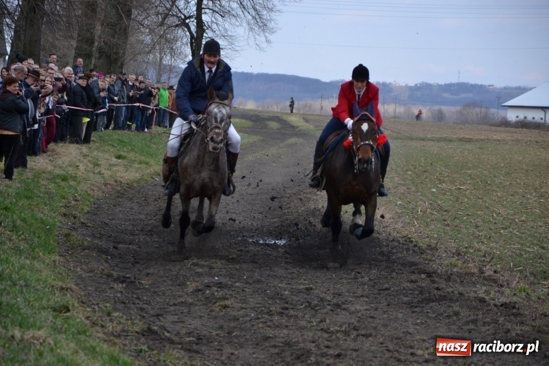 Zdjęcie w galerii na portalu naszraciborz.pl: Bieńkowickie rajtowanie - jeźdźcy mocno chwycili za lejce FOTO i WIDEO wiadomości z regionu