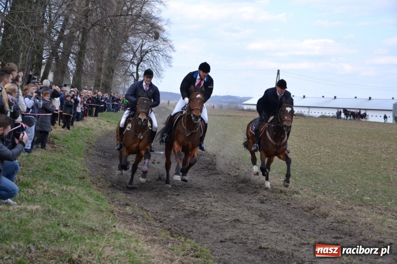 Zdjęcie w galerii na portalu naszraciborz.pl: Bieńkowickie rajtowanie - jeźdźcy mocno chwycili za lejce FOTO i WIDEO wiadomości z regionu