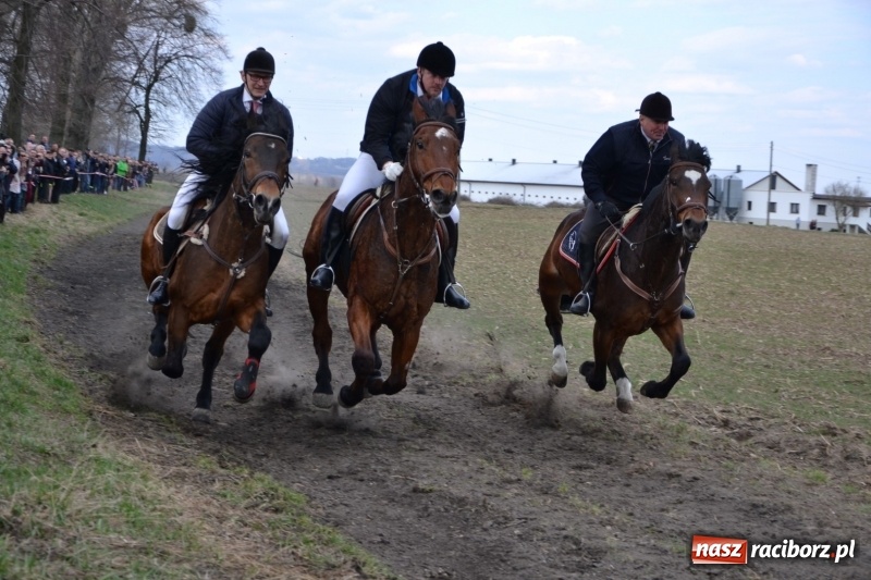 Zdjęcie w galerii na portalu naszraciborz.pl: Bieńkowickie rajtowanie - jeźdźcy mocno chwycili za lejce FOTO i WIDEO wiadomości z regionu