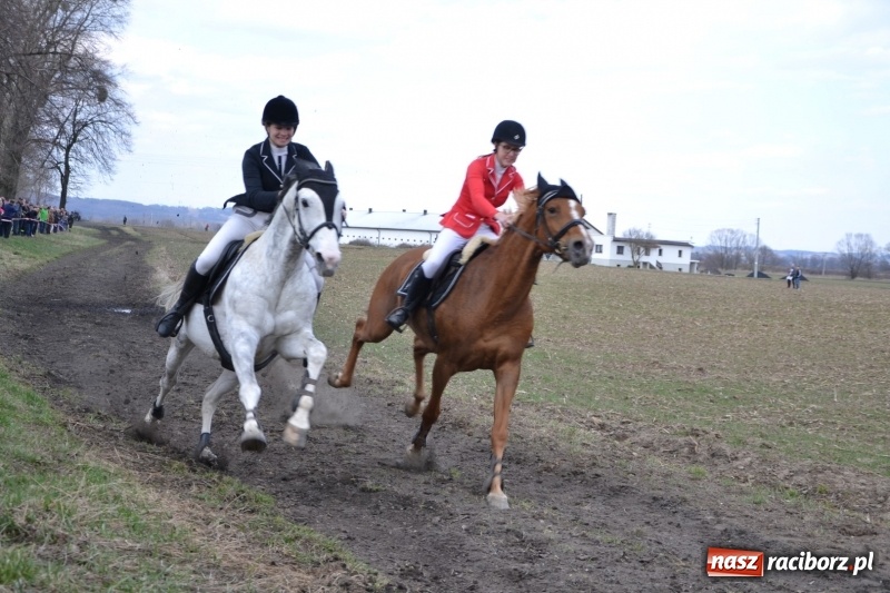 Zdjęcie w galerii na portalu naszraciborz.pl: Bieńkowickie rajtowanie - jeźdźcy mocno chwycili za lejce FOTO i WIDEO wiadomości z regionu