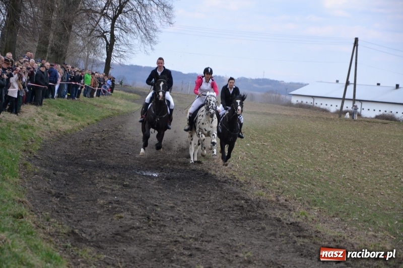 Zdjęcie w galerii na portalu naszraciborz.pl: Bieńkowickie rajtowanie - jeźdźcy mocno chwycili za lejce FOTO i WIDEO wiadomości z regionu
