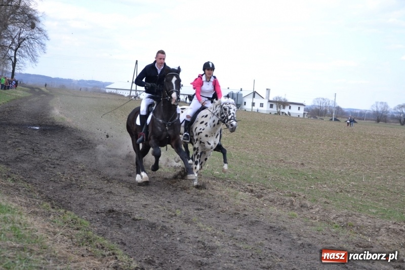Zdjęcie w galerii na portalu naszraciborz.pl: Bieńkowickie rajtowanie - jeźdźcy mocno chwycili za lejce FOTO i WIDEO wiadomości z regionu