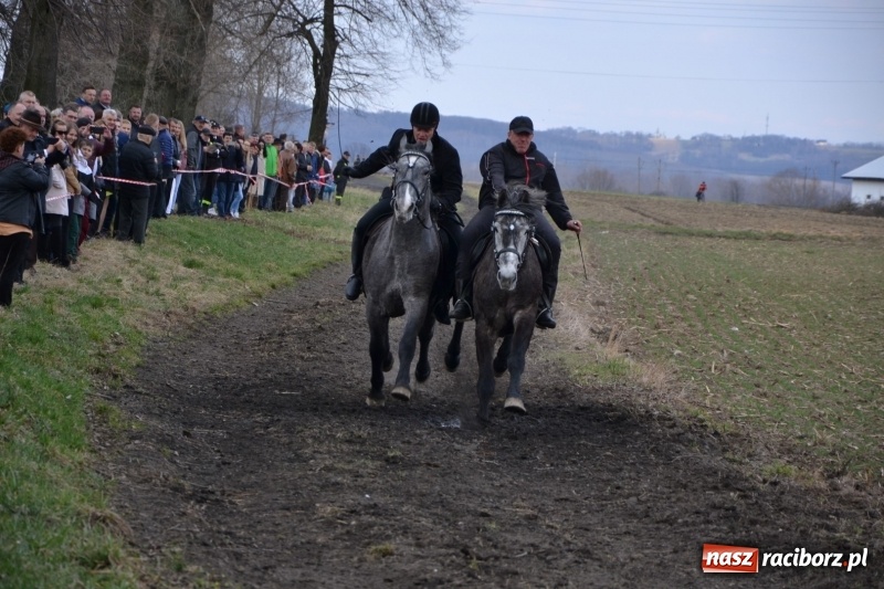 Zdjęcie w galerii na portalu naszraciborz.pl: Bieńkowickie rajtowanie - jeźdźcy mocno chwycili za lejce FOTO i WIDEO wiadomości z regionu