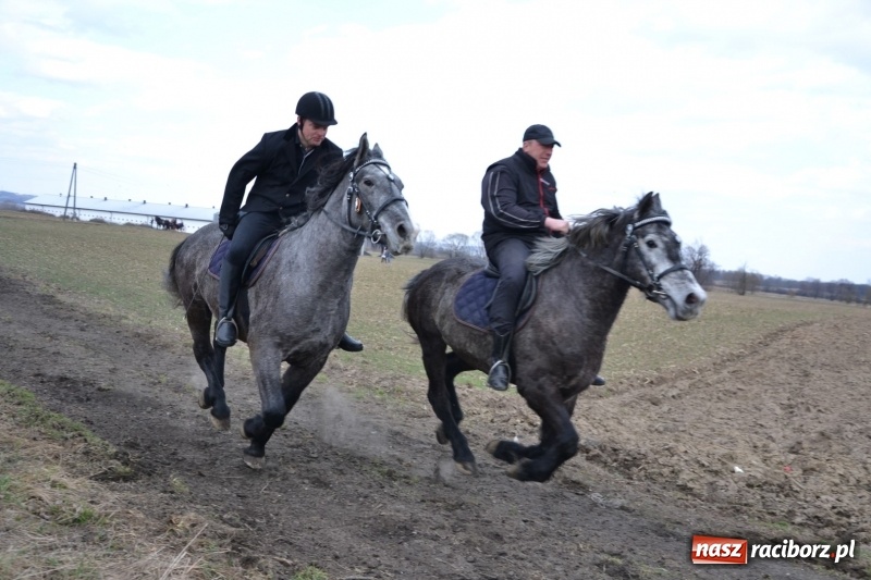 Zdjęcie w galerii na portalu naszraciborz.pl: Bieńkowickie rajtowanie - jeźdźcy mocno chwycili za lejce FOTO i WIDEO wiadomości z regionu