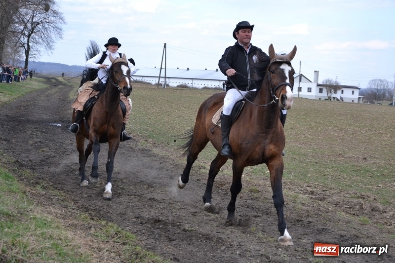 Zdjęcie w galerii na portalu naszraciborz.pl: Bieńkowickie rajtowanie - jeźdźcy mocno chwycili za lejce FOTO i WIDEO wiadomości z regionu