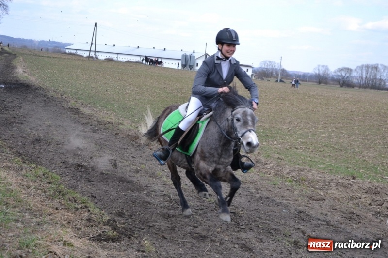 Zdjęcie w galerii na portalu naszraciborz.pl: Bieńkowickie rajtowanie - jeźdźcy mocno chwycili za lejce FOTO i WIDEO wiadomości z regionu