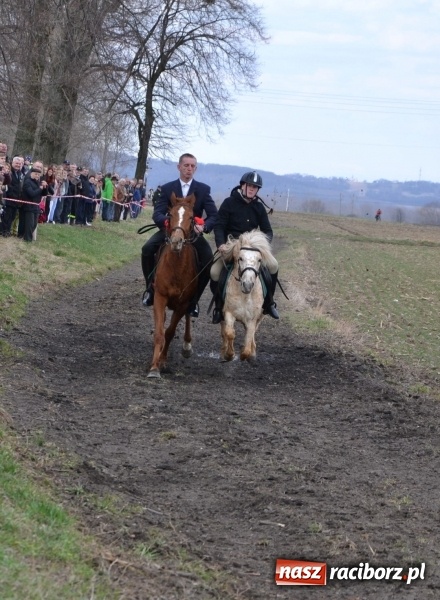 Zdjęcie w galerii na portalu naszraciborz.pl: Bieńkowickie rajtowanie - jeźdźcy mocno chwycili za lejce FOTO i WIDEO wiadomości z regionu
