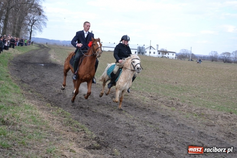 Zdjęcie w galerii na portalu naszraciborz.pl: Bieńkowickie rajtowanie - jeźdźcy mocno chwycili za lejce FOTO i WIDEO wiadomości z regionu