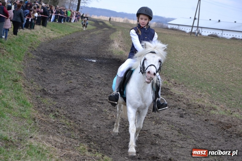 Zdjęcie w galerii na portalu naszraciborz.pl: Bieńkowickie rajtowanie - jeźdźcy mocno chwycili za lejce FOTO i WIDEO wiadomości z regionu