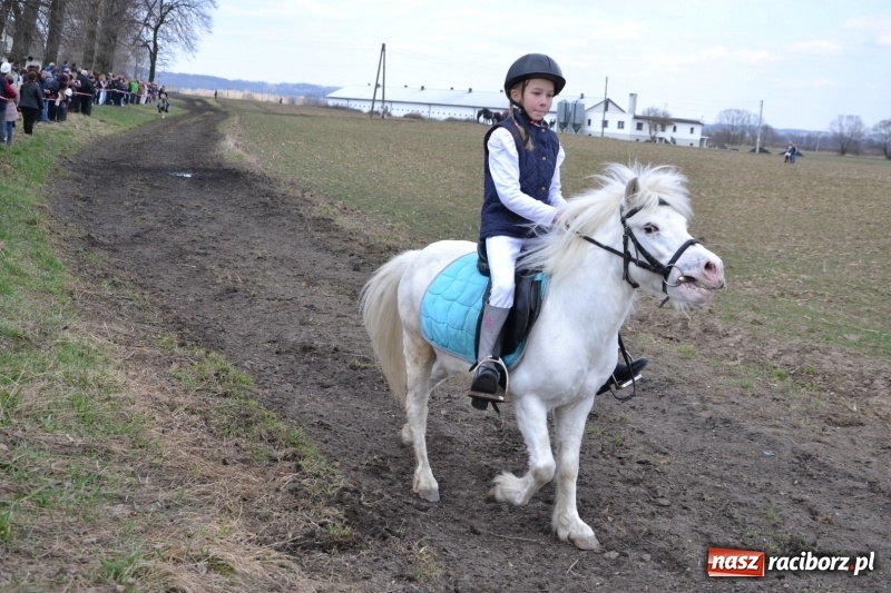 Zdjęcie w galerii na portalu naszraciborz.pl: Bieńkowickie rajtowanie - jeźdźcy mocno chwycili za lejce FOTO i WIDEO wiadomości z regionu