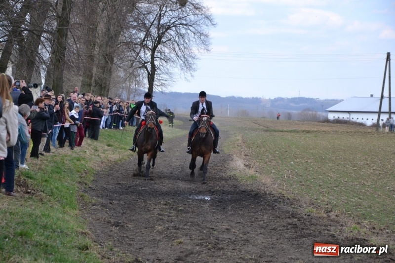 Zdjęcie w galerii na portalu naszraciborz.pl: Bieńkowickie rajtowanie - jeźdźcy mocno chwycili za lejce FOTO i WIDEO wiadomości z regionu
