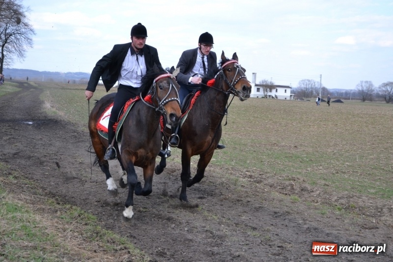 Zdjęcie w galerii na portalu naszraciborz.pl: Bieńkowickie rajtowanie - jeźdźcy mocno chwycili za lejce FOTO i WIDEO wiadomości z regionu