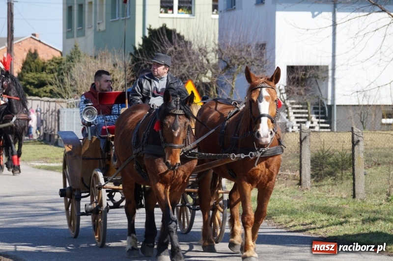 Zdjęcie w galerii na portalu naszraciborz.pl: W gminie Nędza objechali pola prosząc o udane plony wiadomości z regionu