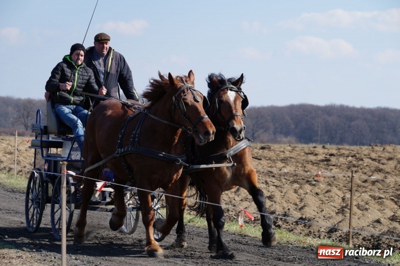 Zdjęcie w galerii na portalu naszraciborz.pl: W gminie Nędza objechali pola prosząc o udane plony wiadomości z regionu
