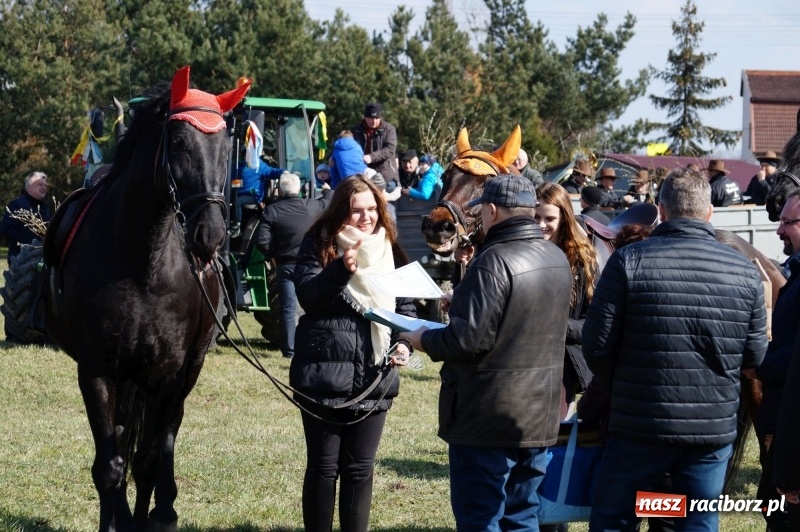 Zdjęcie w galerii na portalu naszraciborz.pl: W gminie Nędza objechali pola prosząc o udane plony wiadomości z regionu