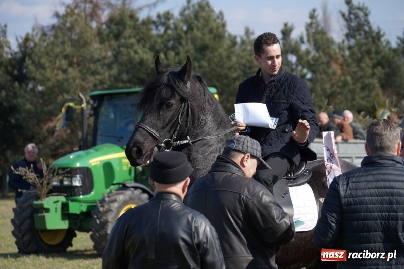 Zdjęcie w galerii na portalu naszraciborz.pl: W gminie Nędza objechali pola prosząc o udane plony wiadomości z regionu