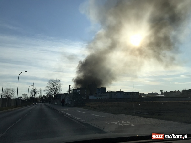 Zdjęcie w galerii na portalu naszraciborz.pl: Pożar składowiska opon i koparki przy ulicy Eichendorffa FOTO i WIDEO wiadomości z regionu