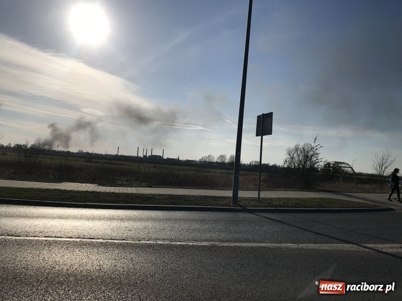 Zdjęcie w galerii na portalu naszraciborz.pl: Pożar składowiska opon i koparki przy ulicy Eichendorffa FOTO i WIDEO wiadomości z regionu
