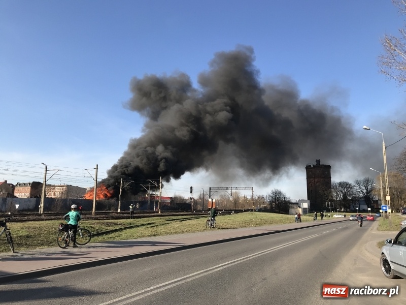 Zdjęcie w galerii na portalu naszraciborz.pl: Pożar składowiska opon i koparki przy ulicy Eichendorffa FOTO i WIDEO wiadomości z regionu