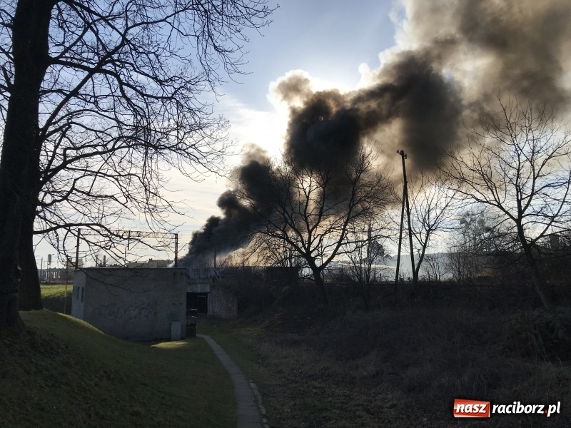 Zdjęcie w galerii na portalu naszraciborz.pl: Pożar składowiska opon i koparki przy ulicy Eichendorffa FOTO i WIDEO wiadomości z regionu