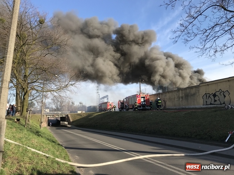 Zdjęcie w galerii na portalu naszraciborz.pl: Pożar składowiska opon i koparki przy ulicy Eichendorffa FOTO i WIDEO wiadomości z regionu