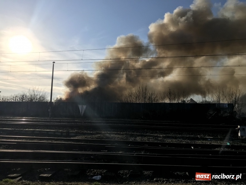 Zdjęcie w galerii na portalu naszraciborz.pl: Pożar składowiska opon i koparki przy ulicy Eichendorffa FOTO i WIDEO wiadomości z regionu