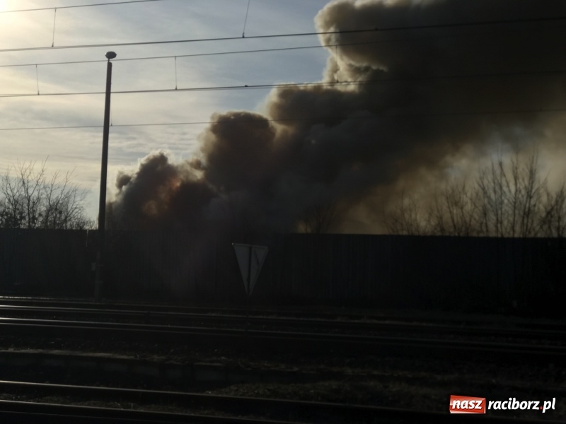 Zdjęcie w galerii na portalu naszraciborz.pl: Pożar składowiska opon i koparki przy ulicy Eichendorffa FOTO i WIDEO wiadomości z regionu