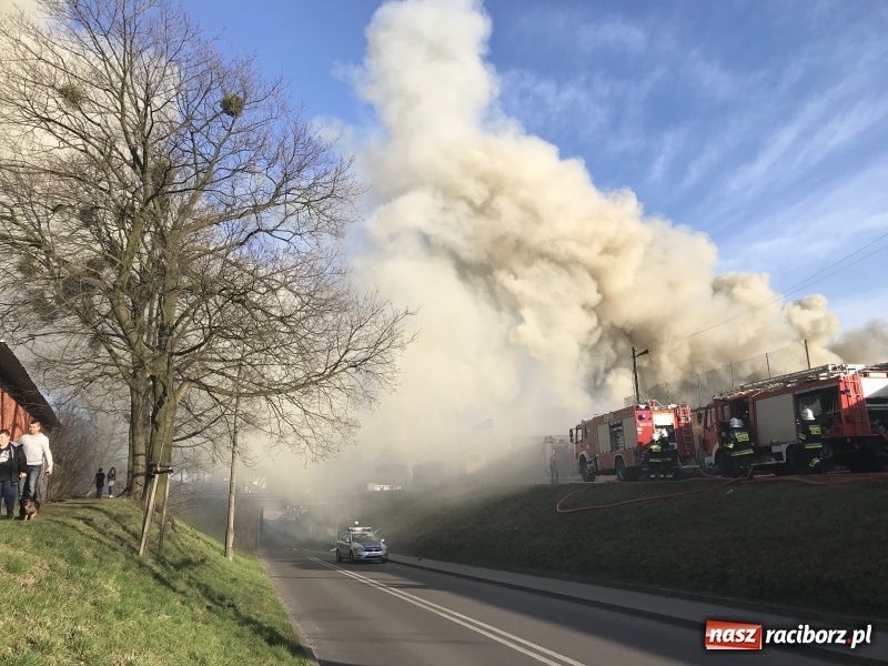 Zdjęcie w galerii na portalu naszraciborz.pl: Pożar składowiska opon i koparki przy ulicy Eichendorffa FOTO i WIDEO wiadomości z regionu