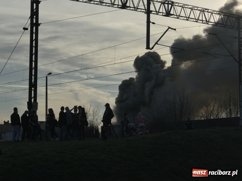 Zdjęcie w galerii na portalu naszraciborz.pl: Pożar składowiska opon i koparki przy ulicy Eichendorffa FOTO i WIDEO wiadomości z regionu
