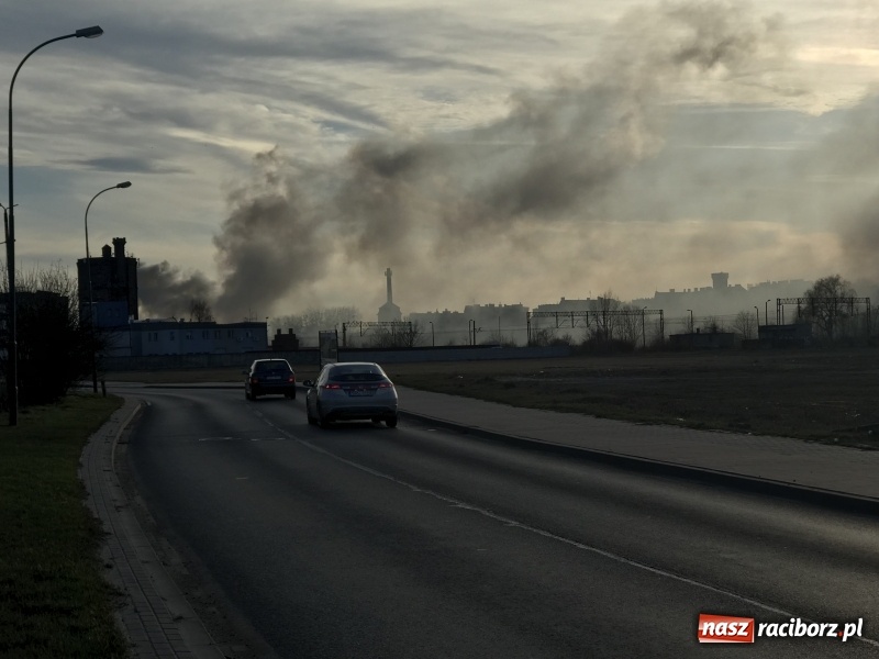Zdjęcie w galerii na portalu naszraciborz.pl: Pożar składowiska opon i koparki przy ulicy Eichendorffa FOTO i WIDEO wiadomości z regionu