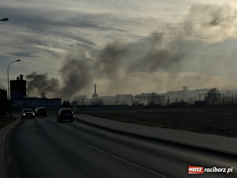 Zdjęcie w galerii na portalu naszraciborz.pl: Pożar składowiska opon i koparki przy ulicy Eichendorffa FOTO i WIDEO wiadomości z regionu