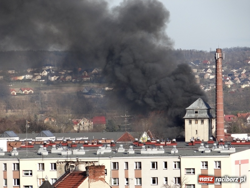 Zdjęcie w galerii na portalu naszraciborz.pl: Pożar składowiska opon i koparki przy ulicy Eichendorffa FOTO i WIDEO wiadomości z regionu