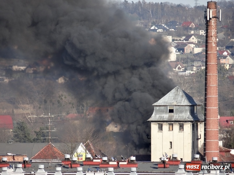 Zdjęcie w galerii na portalu naszraciborz.pl: Pożar składowiska opon i koparki przy ulicy Eichendorffa FOTO i WIDEO wiadomości z regionu