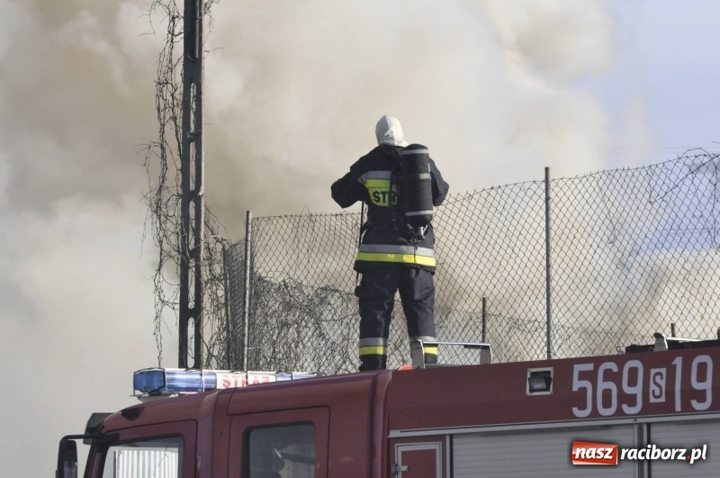 Zdjęcie w galerii na portalu naszraciborz.pl: Pożar składowiska opon i koparki przy ulicy Eichendorffa FOTO i WIDEO wiadomości z regionu