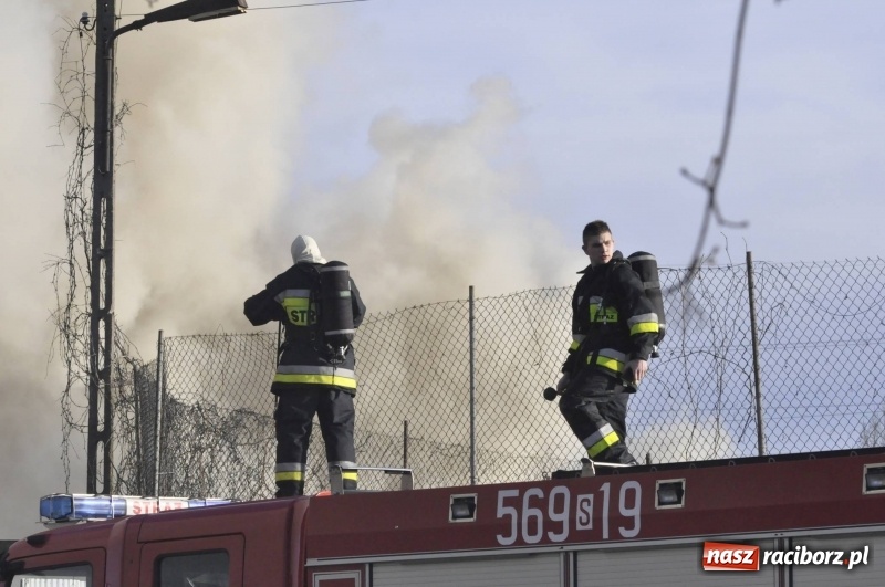 Zdjęcie w galerii na portalu naszraciborz.pl: Pożar składowiska opon i koparki przy ulicy Eichendorffa FOTO i WIDEO wiadomości z regionu