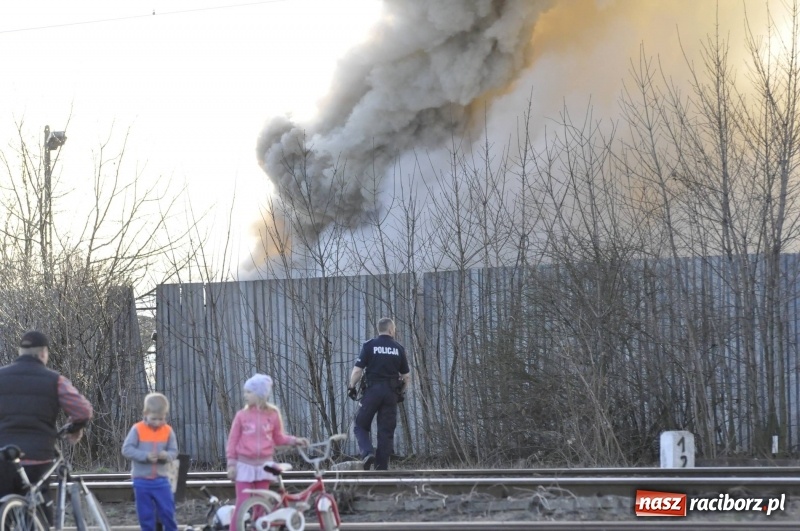 Zdjęcie w galerii na portalu naszraciborz.pl: Pożar składowiska opon i koparki przy ulicy Eichendorffa FOTO i WIDEO wiadomości z regionu