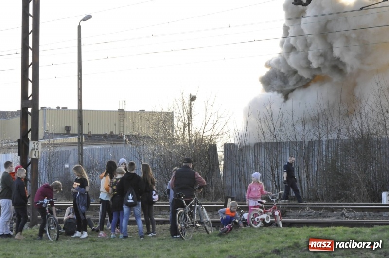 Zdjęcie w galerii na portalu naszraciborz.pl: Pożar składowiska opon i koparki przy ulicy Eichendorffa FOTO i WIDEO wiadomości z regionu