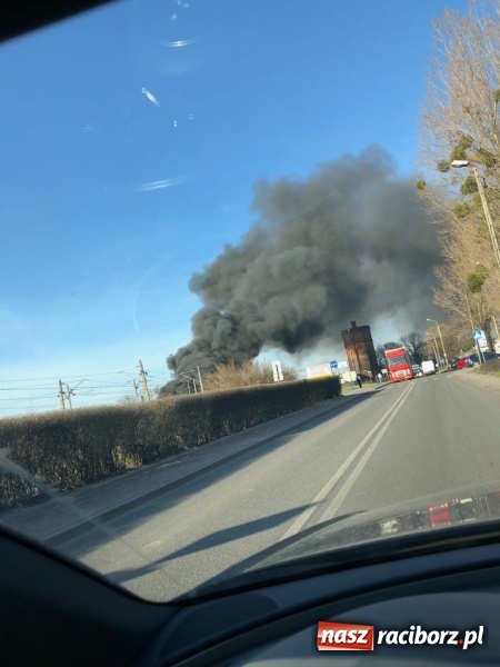 Zdjęcie w galerii na portalu naszraciborz.pl: Pożar składowiska opon i koparki przy ulicy Eichendorffa FOTO i WIDEO wiadomości z regionu