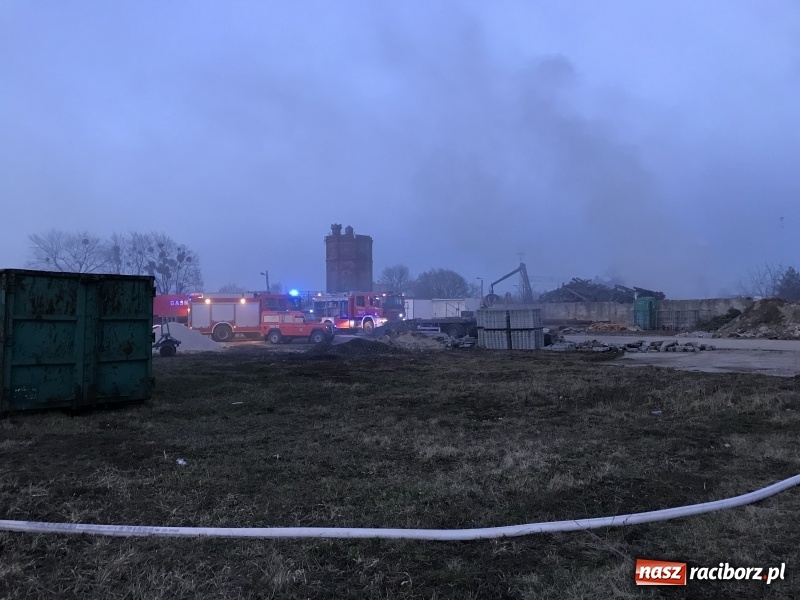 Zdjęcie w galerii na portalu naszraciborz.pl: Pożar przy Eichendorffa. Krajobraz po żywiole! Tony groźnych odpadów na zapleczu byłych zakładów mięsnych wiadomości z regionu