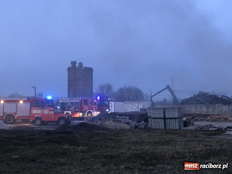 Zdjęcie w galerii na portalu naszraciborz.pl: Pożar przy Eichendorffa. Krajobraz po żywiole! Tony groźnych odpadów na zapleczu byłych zakładów mięsnych wiadomości z regionu