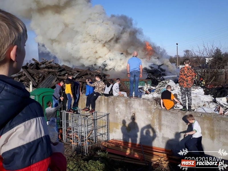 Zdjęcie w galerii na portalu naszraciborz.pl: Pożar przy Eichendorffa. Krajobraz po żywiole! Tony groźnych odpadów na zapleczu byłych zakładów mięsnych wiadomości z regionu