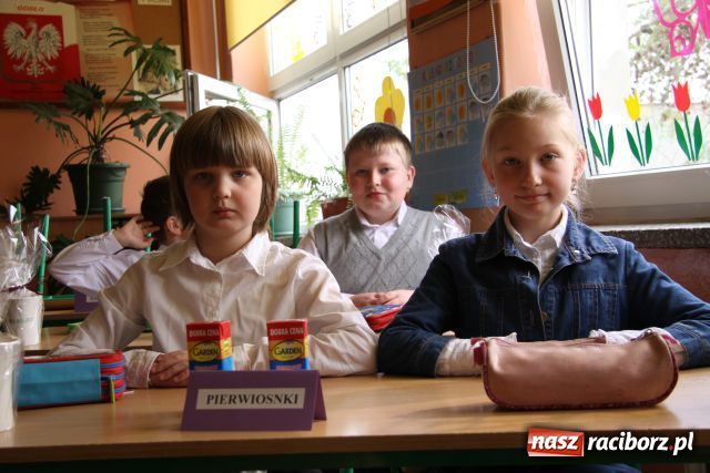 Zdjęcie w galerii na portalu naszraciborz.pl: Z ekologią za pan brat wiadomości z regionu