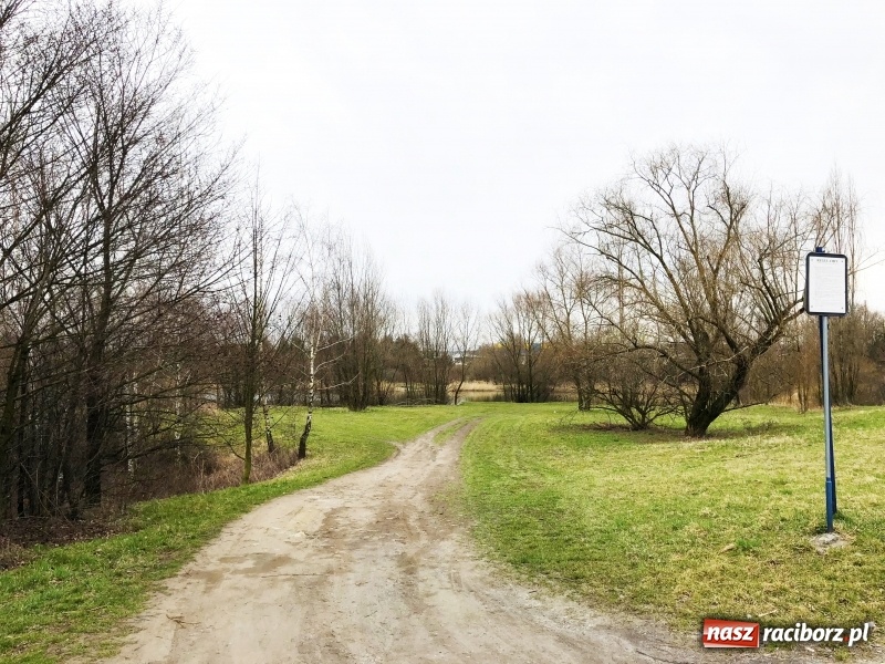Zdjęcie w galerii na portalu naszraciborz.pl: Miało być Acapulco, a będzie park? Prezydent ma pomysł na zagospodarowanie pożwirowisk na Ostrogu wiadomości z regionu