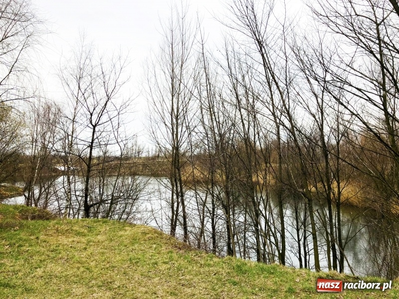 Zdjęcie w galerii na portalu naszraciborz.pl: Miało być Acapulco, a będzie park? Prezydent ma pomysł na zagospodarowanie pożwirowisk na Ostrogu wiadomości z regionu