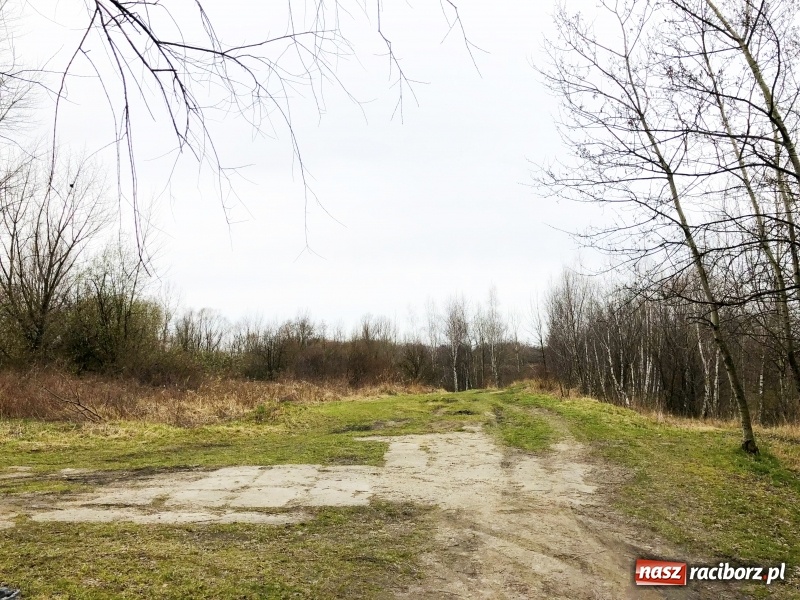 Zdjęcie w galerii na portalu naszraciborz.pl: Miało być Acapulco, a będzie park? Prezydent ma pomysł na zagospodarowanie pożwirowisk na Ostrogu wiadomości z regionu