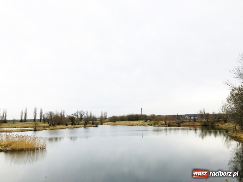 Zdjęcie w galerii na portalu naszraciborz.pl: Miało być Acapulco, a będzie park? Prezydent ma pomysł na zagospodarowanie pożwirowisk na Ostrogu wiadomości z regionu