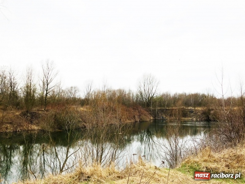 Zdjęcie w galerii na portalu naszraciborz.pl: Miało być Acapulco, a będzie park? Prezydent ma pomysł na zagospodarowanie pożwirowisk na Ostrogu wiadomości z regionu